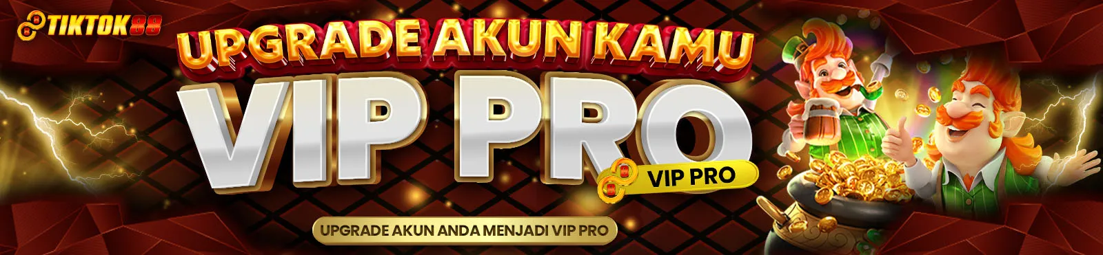 VIP PRO TIKTOK88